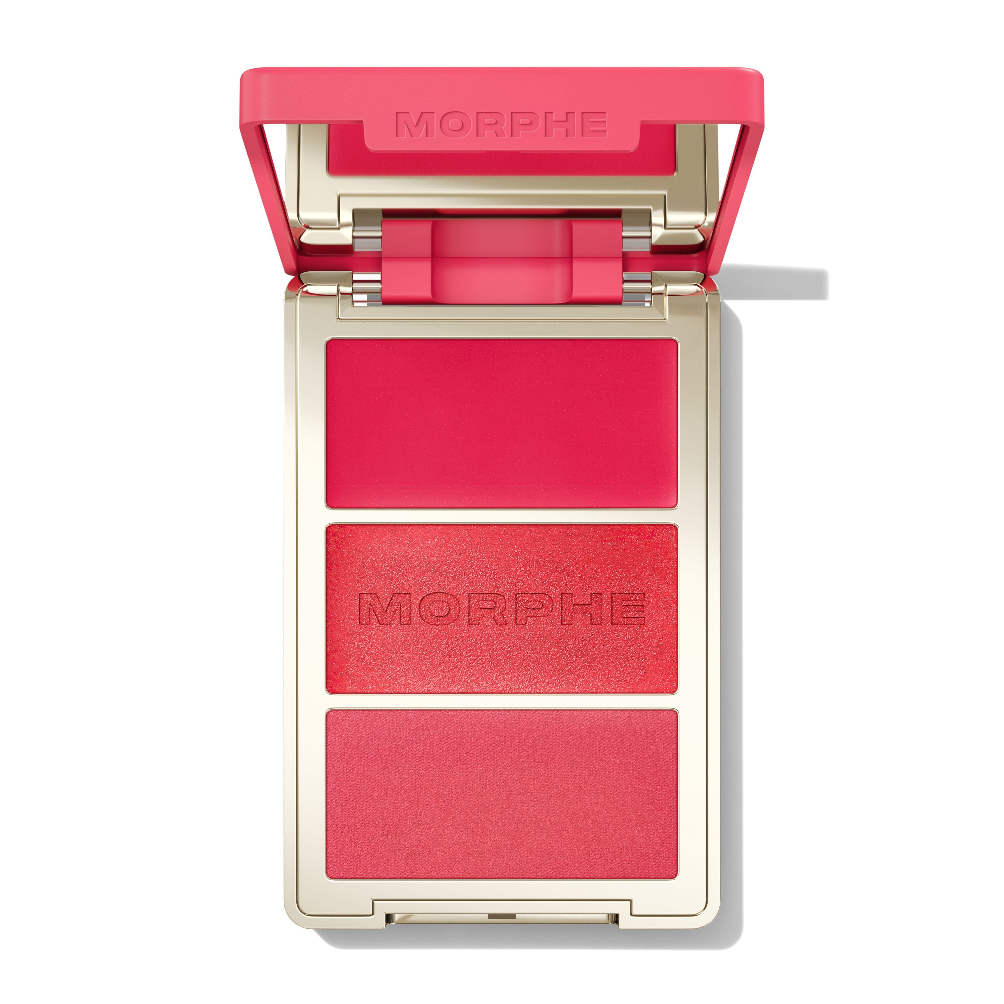 Morphe Cheek Cheek Thrills Multi-Finish Face Trio 10-Piece Collection blush 10 teintes