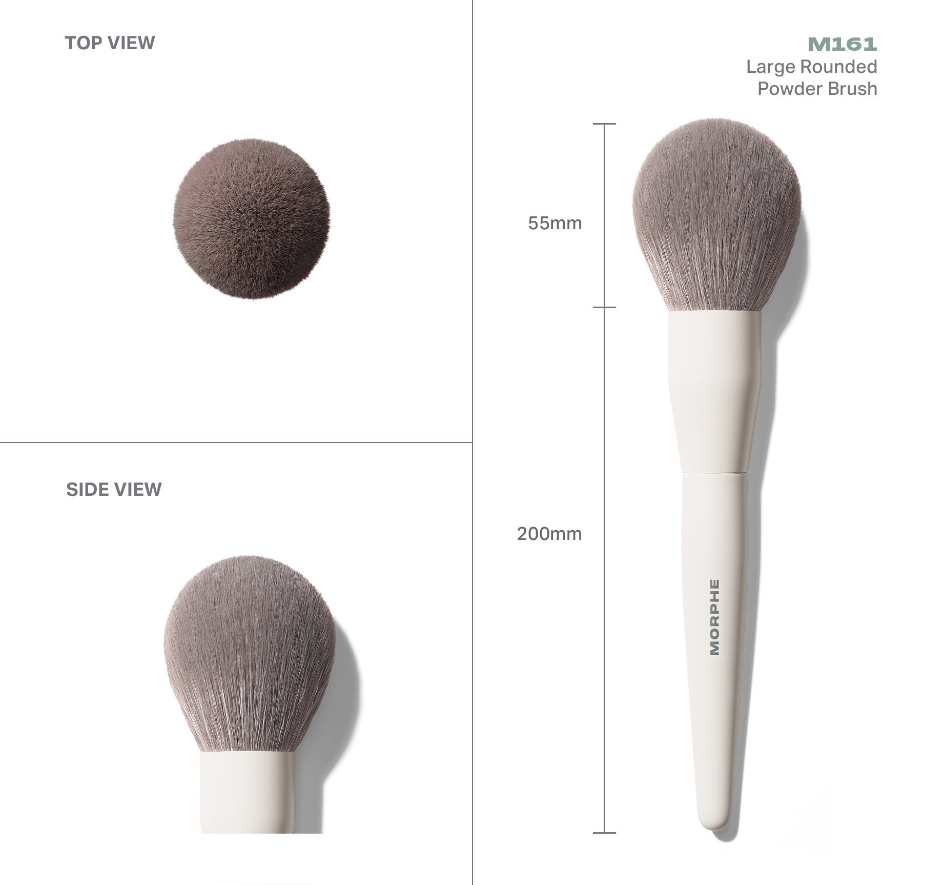 Morphe Face Brushes M161 Large Rounded Powder Brush pinceau poudre