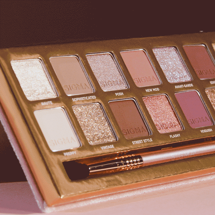 Sigma Eye Makeup New Mod Eyeshadow Palette palette fards 14 teintes avec pinceau