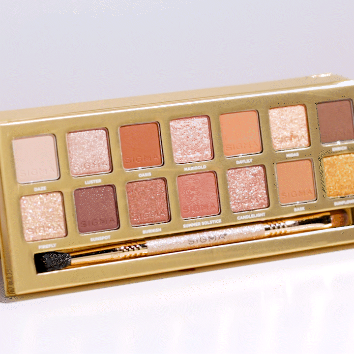 Sigma Eye Makeup Ambiance Eyeshadow Palette palette yeux 14 teintes dorées