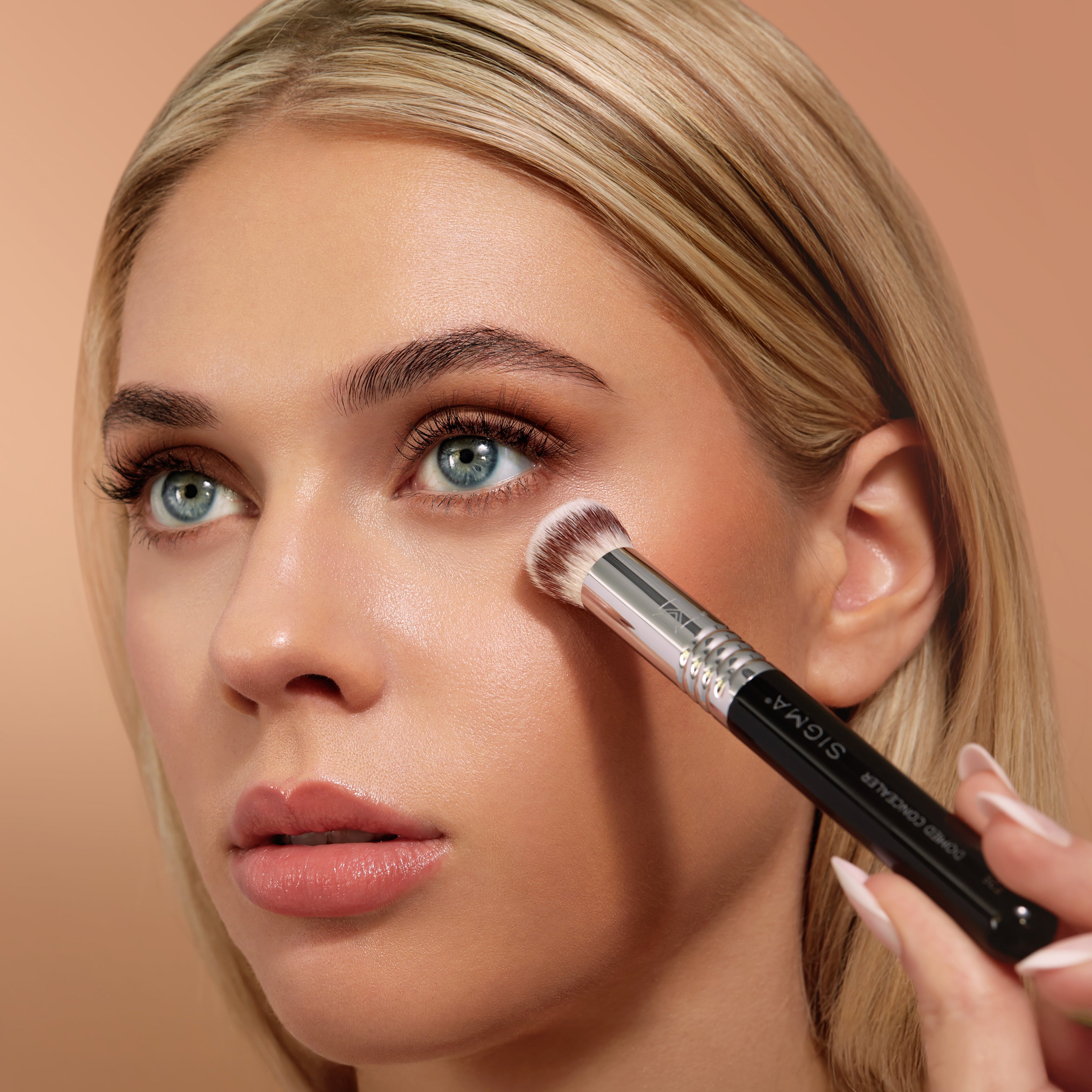 Sigma Face Brushes F26 Domed Concealer Brush pinceau anti-cernes