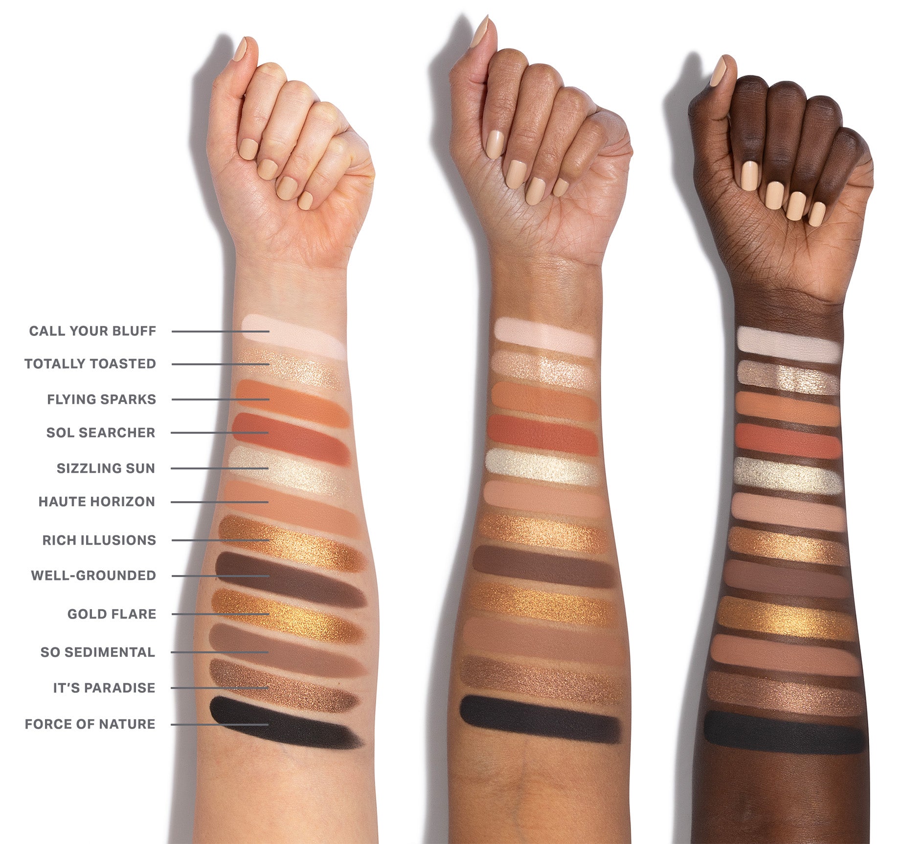 Morphe Eyeshadow & Palettes ChromaPlus 12-Pan Eyeshadow Palette palette 12 fards Rose Frequency