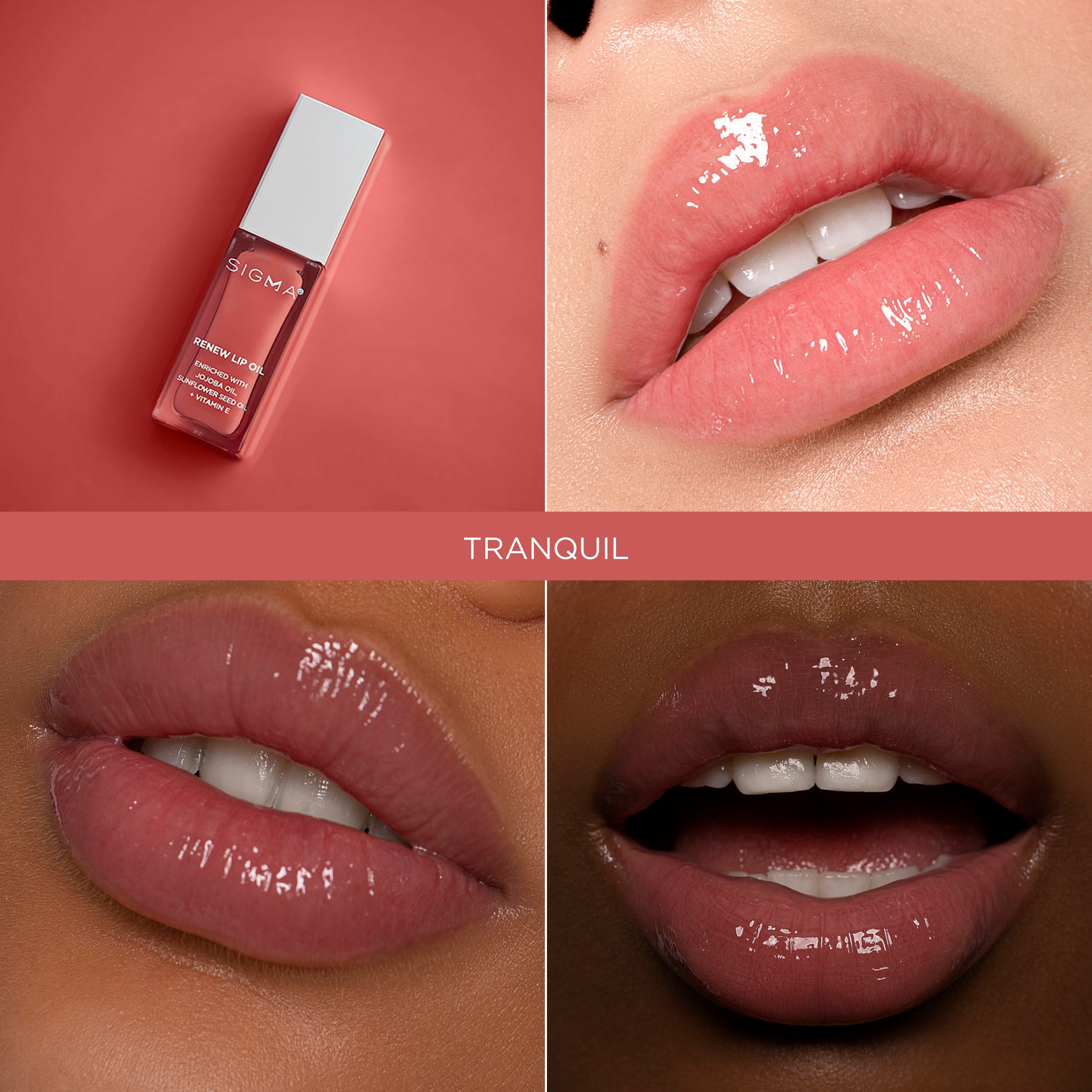 Sigma Lip Makeup Renew Lip Oil huile lèvres Hush 5,2 g rose transparent