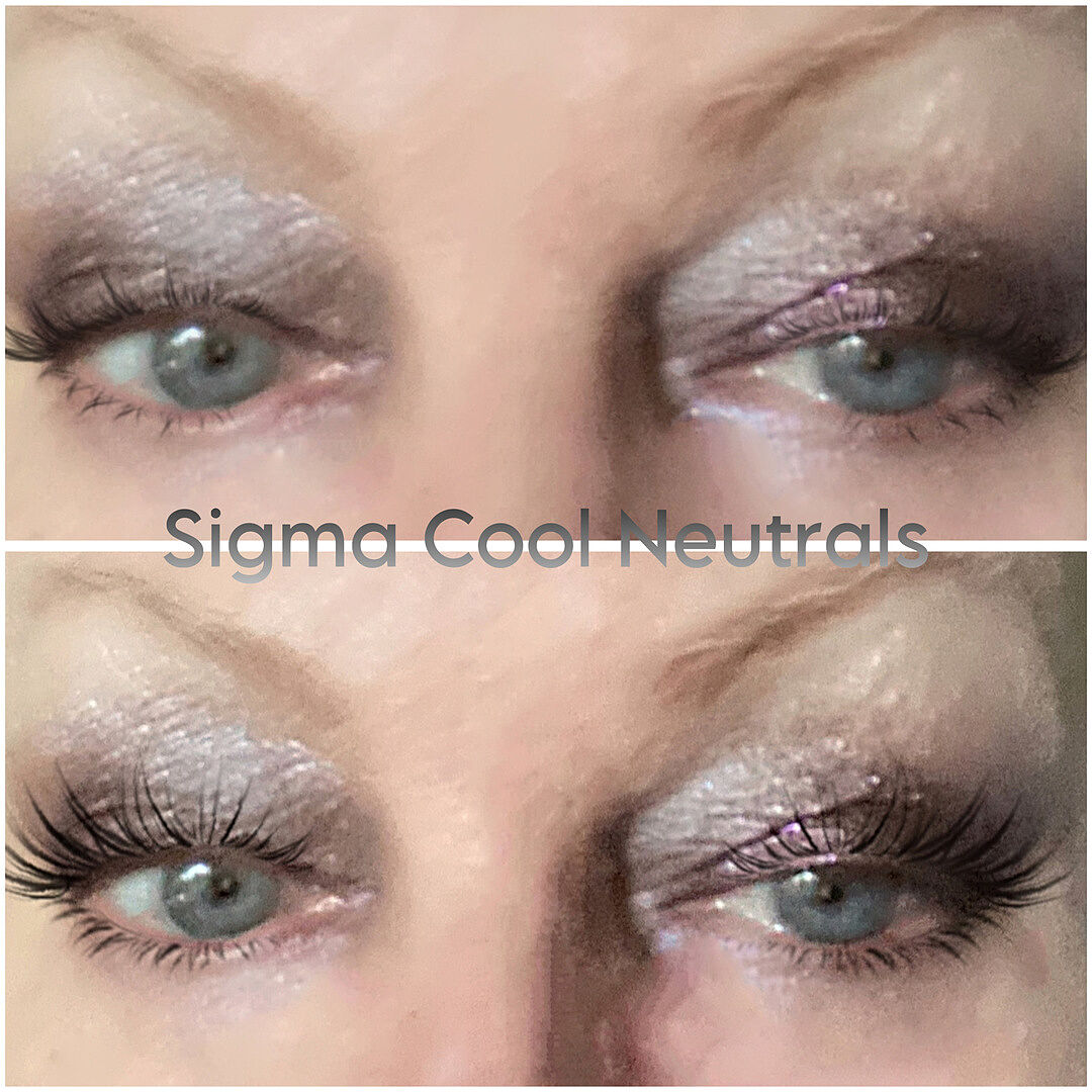 Sigma Eye Makeup Cool Neutrals Eyeshadow Palette palette 14 fards tons froids