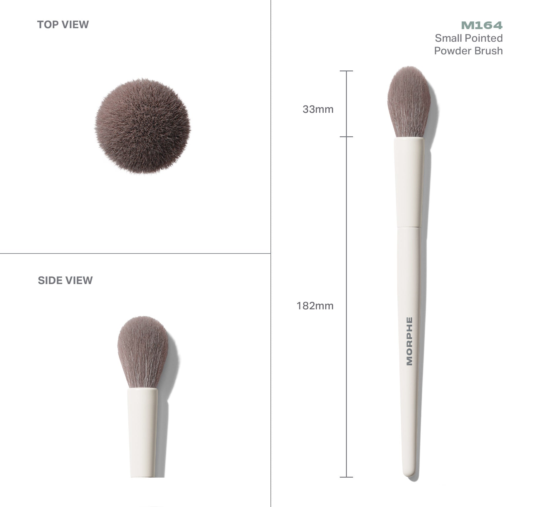 Morphe Face Brushes M164 Small Pointed Powder Brush pinceau poudre yeux