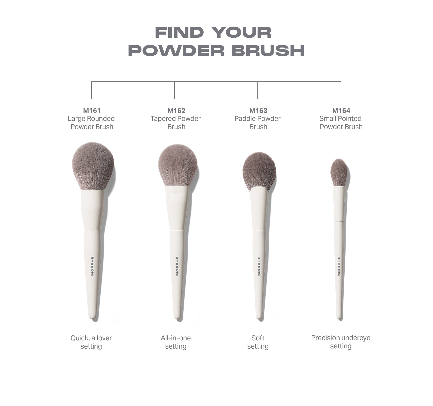 Morphe Face Brushes M161 Large Rounded Powder Brush pinceau poudre