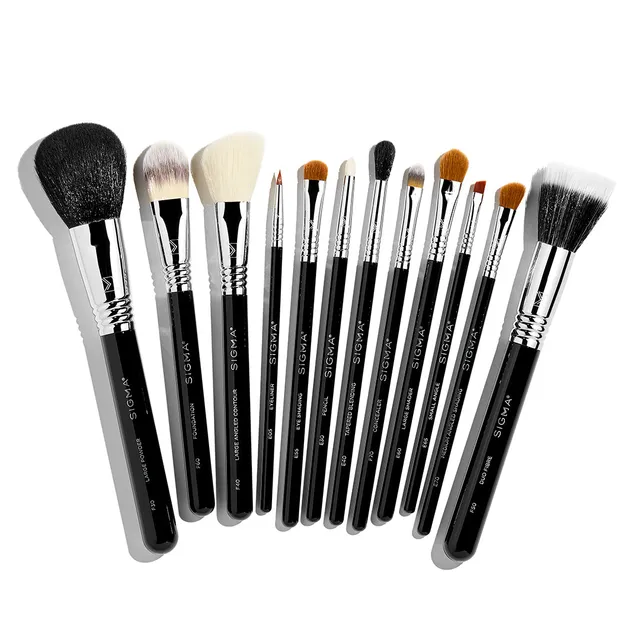 Sigma Brush Sets Essential Brush Set set de pinceaux 12 pièces fibres SigmaTech