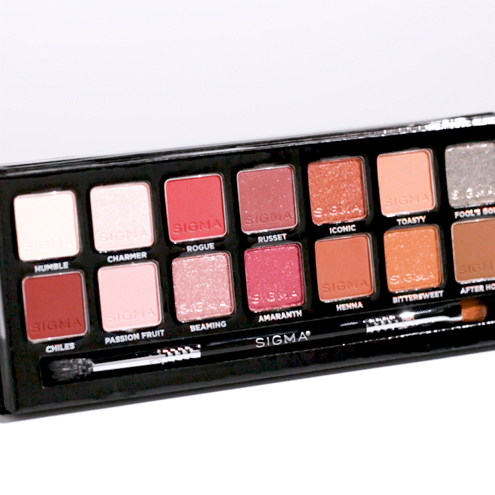 Sigma Eye Makeup Warm Neutrals Eyeshadow Palette palette yeux 14 teintes tons chauds
