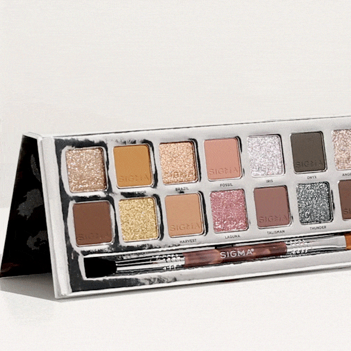 Sigma Eye Makeup Cool Neutrals Eyeshadow Palette palette 14 fards tons froids